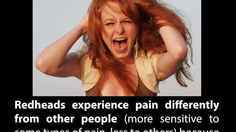 Slobber-knocker reccomend In pain redhead study tolerance