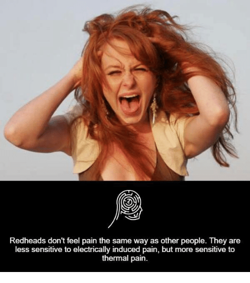 best of Redhead tolerance study pain In